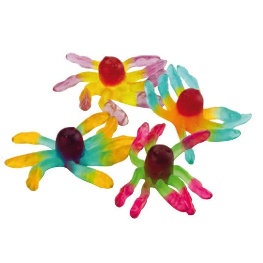 Octopus lisse